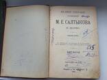 1906г. Салтыков-Щедрин "Пестрые письма" - фото 2