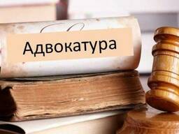 Адвокат Нікітченко Є. В. ,