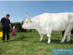 Агрохозяйство 502 гектара, Ворошиловский район, Донецк