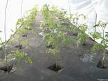 Агроволокно 1,05*100м. мульчирующее Plant-Protex, Польша. - фото 3