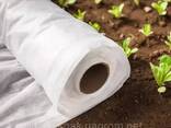 Агроволокно 50 г/м² 1,6 х 50 м белое"Shadow" (Чехия) 4% нетканый спанбонд для укрытия. .. - фото 2