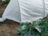 Агроволокно 50 г/м² 1,6 х 50 м белое"Shadow" (Чехия) 4% нетканый спанбонд для укрытия. .. - фото 3