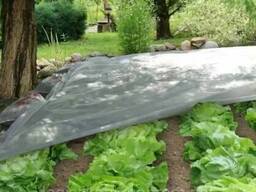 Агроволокно 60 г/м² 1,6 х 50м белое "Shadow" (Чехия) 4% для растений от заморозков