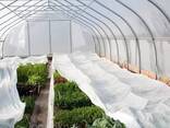 Агроволокно 60 г/м² 1,6 х 50м белое "Shadow" (Чехия) 4% для растений от заморозков - фото 1