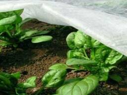 Агроволокно белое