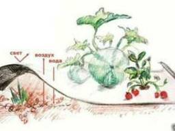 Агроволокно Чёрно-белое Агротекс 80г/м2 (1 6м*10м) Новинка