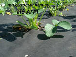 Агроволокно 50 черное (1.6*10м) Польша, Распродажа - фото 2