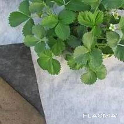 Агроволокно черно-белое плотность 50 г/м² 1,6x100 м — Garden Flora (71-691)