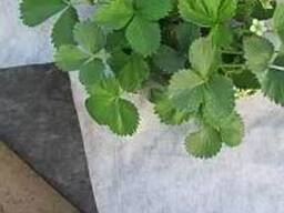 Агроволокно черно-белое плотность 50 г/м² 1,6x100 м — Garden Flora (71-691)