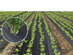 Агроткан 1м 100г/м2