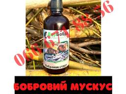 Активатор Кльову бобровая струя, приманка бобра