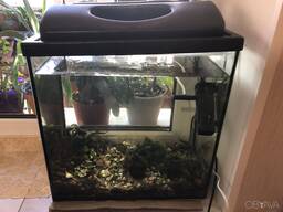 Акваріум на 40л, розміри - Ш 40см х В 40см х Г 25 см = 990грн