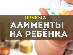 Алименты на ребенка | Подать на алименты