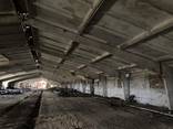 Ангар "Клюшечник" - фото 3