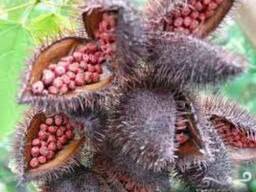 „Аннатто” (натур. барвник) (Е160)