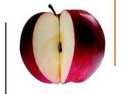 Антиоксидант Эндокс