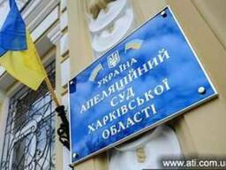 Апелляционное обжалование судебных решений