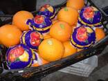 Апельсин - фото 8