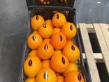 Апельсин - фото 1