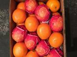 Апельсины оптом (Турция, Египет) - фото 1