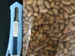 Арахис болд, Турция, высший сорт.
