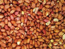 Арахис не бланшированный