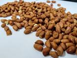 Арахис сырой - фото 3