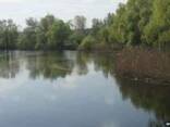 Аренда дома в Миргороде - фото 5