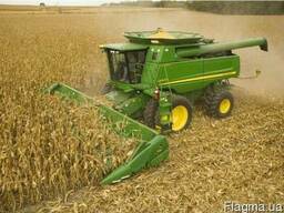 Аренда комбайна на уборку кукурузы