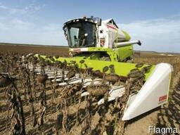 Аренда комбайна на уборку