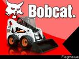 Аренда мини-погрузчика бобкет, bobcat - фото 3