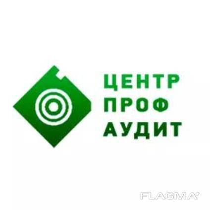 Аудиторские услуги: налоговый, кадровый, инициативный аудит.