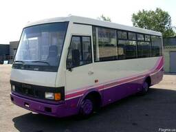 Автобусы Эталон, Богдан, МАЗ и др.