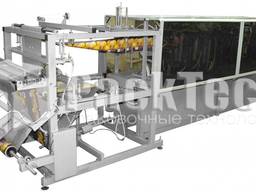 Автомат для изготовления "doy-pack" пакетов АДП-1