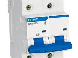 Автоматический выключатель Chint NXB-125 2P C100 10 кА