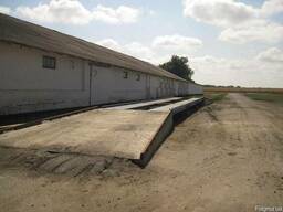 Автомобільні ваги Суми