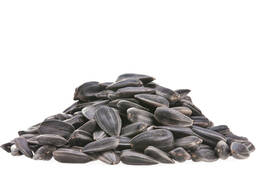 Ayçiçeği tohumları toptan satın almak