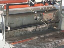 Багатопил Турецький