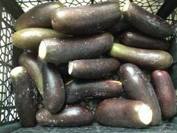 Баклажан целый замороженный