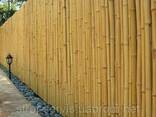 Бамбуковый забор d 12-14 мм (3000х300) - фото 2