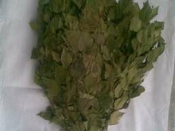 Банні віники опт, асортимент