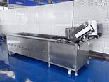 Барботажна ванна для делікатного миття овочів та фруктів STvega BW H2400 - фото 2