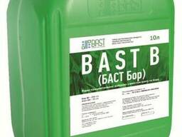 BAST В (БАСТ Бор)