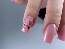 Базовий курс по моделюванню Азбука сучасних нігтів