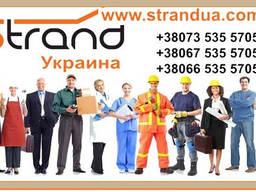 Бесплатное трудоустройство граждан Украины в Польше