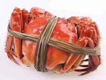 Свіжий/живий норвезький королівський краб (морепродукти) за найкращою ціною оптом доступний із індивідуальним замовленням - фото 3