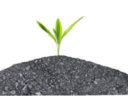 Біочар (Biochar), органічне добриво