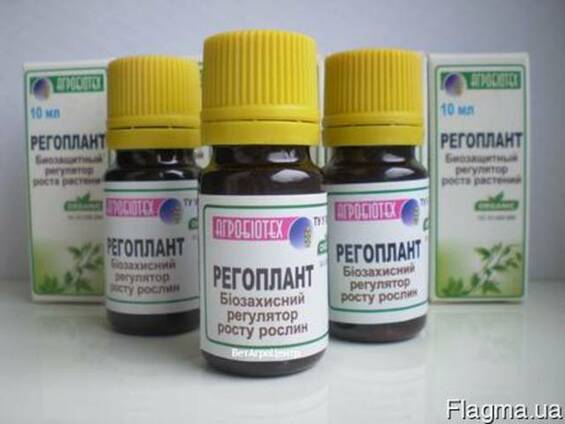 Біостимулятор "Регоплант"