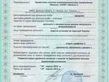 Бизнес, который будет жить, пока живут люди - фото 1