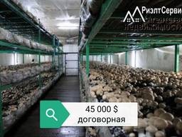 Грибной бизнес Кривой Рог
